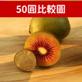 紐西蘭Zespri｜紅心奇異果｜4盒｜6顆/500g_3