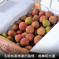 預購 - 纯果粒｜高雄南勝玉荷包荔枝｜3斤1盒_5