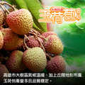 預購 - 纯果粒｜高雄大樹|玉荷包荔枝｜4斤1盒_3