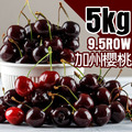 9.5Row加州櫻桃5kg原裝箱｜空運櫻桃
