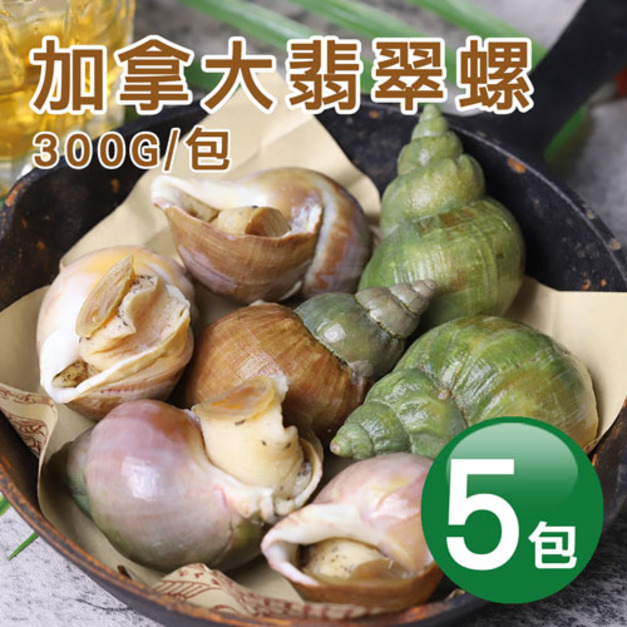 熟凍｜加拿大翡翠螺X5包｜300G/包｜附獨家沾醬