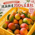買一送一｜枋山愛文芒果(大顆)8-10顆/5斤/盒 ◆輸碼折118_5
