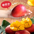 現貨｜枋山愛文芒果 5斤｜10-13顆/3KG/盒 ◆輸碼現折118_3