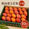 現貨｜枋山愛文芒果 10斤｜20-26顆/6KG/盒 ◆輸碼現折118