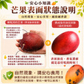 現貨｜特大｜枋山愛文芒果 10斤｜12-16顆/6KG/盒 ◆輸碼現折118_6