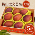 現貨｜大顆｜枋山愛文芒果 5斤｜8-10顆/3KG/盒 ◆輸碼現折118