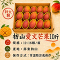 現貨｜特大｜枋山愛文芒果 10斤｜12-16顆/6KG/盒 ◆輸碼現折118_4