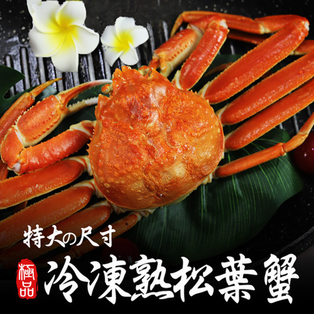 (熟凍)松葉蟹500G X1隻 - 3隻｜解凍即食 /細嫩甘甜 /蟹膏濃郁