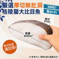 L厚切扁鱈(大比目魚) 300g-任選_2