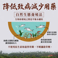 比臉大 虱目魚肚5～10片組｜(225g/片)_4