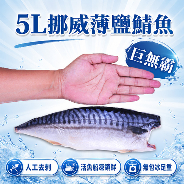 5L(特大)挪威薄鹽鯖魚250g(8片/16片/32片含運組)