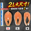 厚切鮭魚300~500g-任選