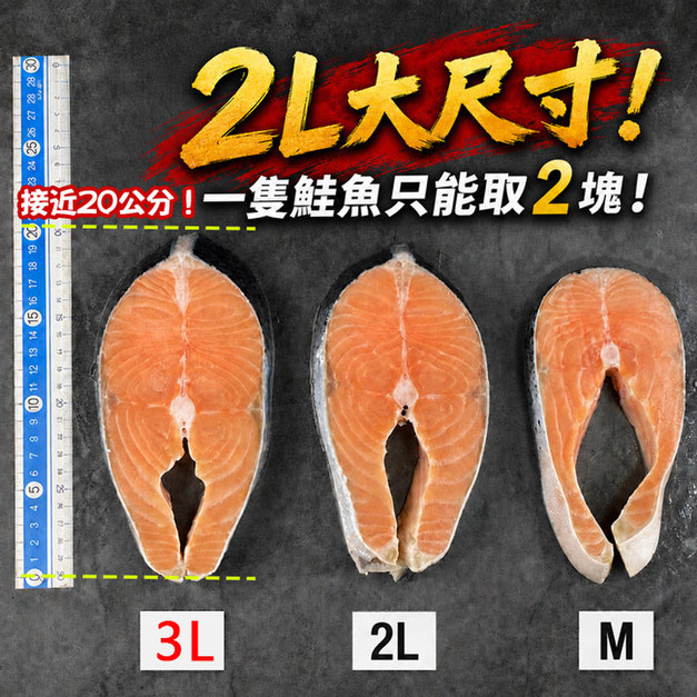 厚切鮭魚300~500g-任選