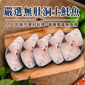 買1送1-土魠魚 10片組(85g/片)｜共20片