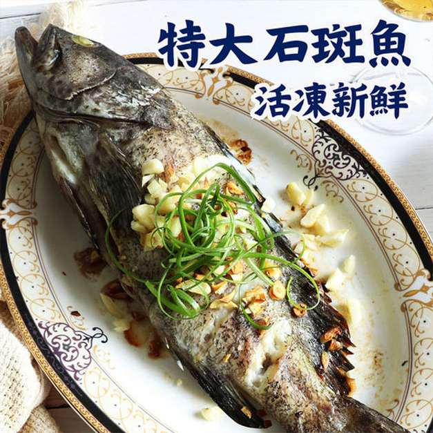 特大石斑魚 530gX3尾組