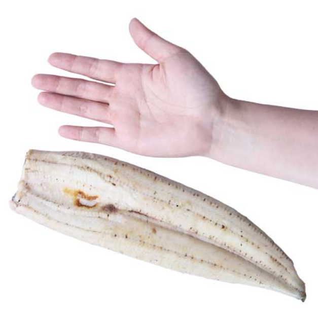 ◎ 台灣白燒鰻魚200g｜1片