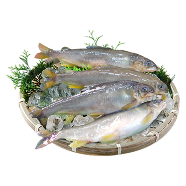 ◎ 宜蘭帶卵母香魚920G｜13-18尾裝