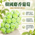 韓國麝香葡萄 1～9串組/(450g/串/盒)_2