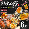 ★預購★ (公母任選)4兩上大閘蟹 6隻組/贈工具組/江南大閘蟹 - 【等候開量中】