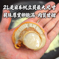 2L生食級北海道帆立貝(800G/約20顆/包)_任選_4
