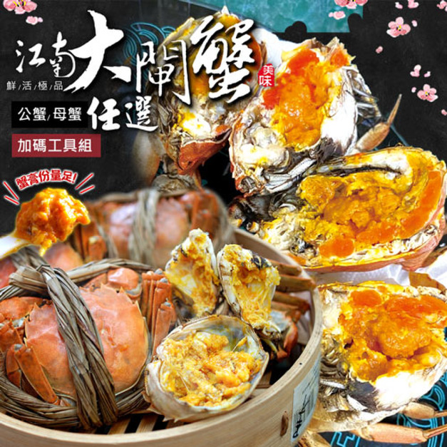  (公母任選)5.5兩大閘蟹 4～10隻組/贈工具組/江南大閘蟹-含運