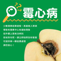 日本青森TOKI水蜜桃蘋果 2.5kg(7～9顆)水果禮盒_含運_6