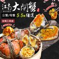 5.5兩江南大閘蟹(公母任選) 4～10隻組/贈工具組-含運