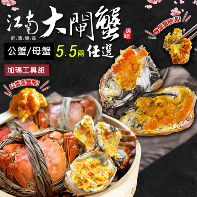 5.5兩江南大閘蟹(公母任選) 4～10隻組/贈工具組-含運