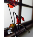 仙客來｜Dip Art 水晶花_2