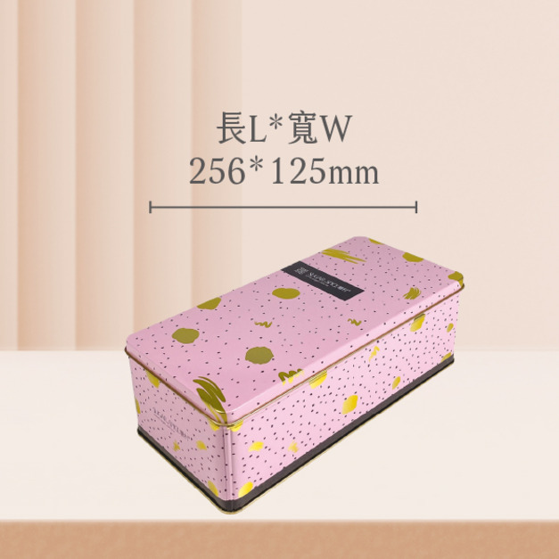 C19 長方鐵盒-長256mm*寬125mm