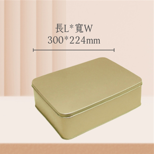 C21長方鐵盒-長300mm寬224mm