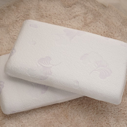 JOJO零壓舒適平面記憶重枕 /一入