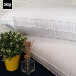 JOJO 透氣50獨立筒枕一入