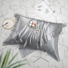 輕奢100%桑蠶真絲素縐緞19姆米壓框枕頭套一入-銀灰