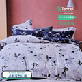 涼被100%萊賽爾天絲-多款花色