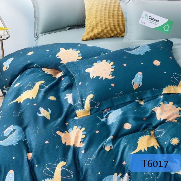 T6017
