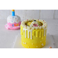 寵物蛋糕-Honey pooh 頭像蛋糕_1