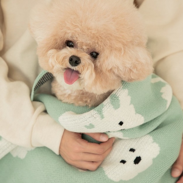 BITE ME 針織毛毯 三色