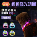 【LaRoo 萊諾】寵物發光項圈F35(35cm/可剪裁/可充電)-黃/紫/藍/粉_1