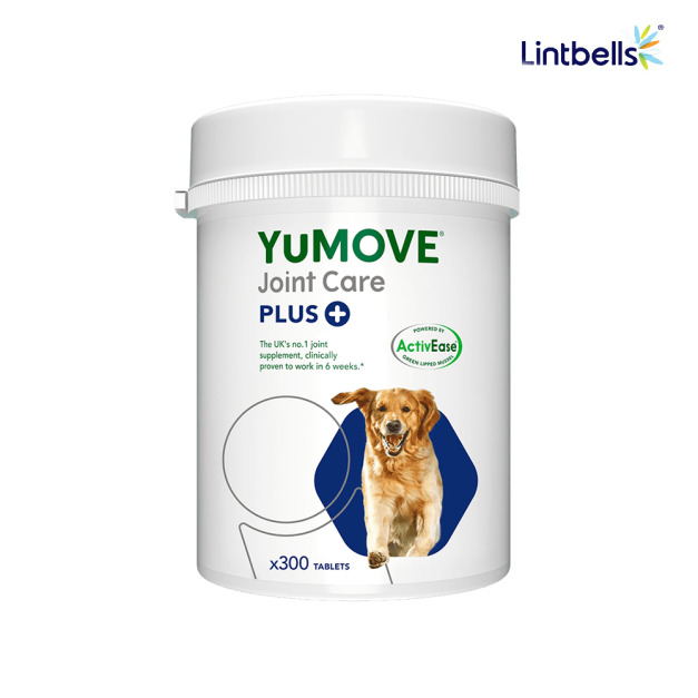 【YuMOVE 優骼服】驚奇版(犬)300錠