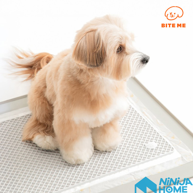 【BITE ME】 腳不濕尿尿墊(灰色/米色)(僅上層排尿墊)