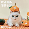 【ZEZE】墩墩南瓜木天蓼玩具_2