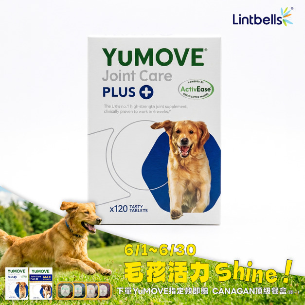 【YuMOVE 優骼服】驚奇版(犬)120錠