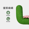【Vetreska 未卡】仙人掌貓抓柱小號_2