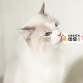 【汪喵星球DogCatStar】益菌保健純肉泥 -6g*20包(盒)_8