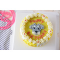 寵物蛋糕-Honey pooh 頭像蛋糕_6