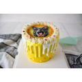 寵物蛋糕-Honey pooh 頭像蛋糕_8