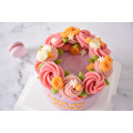 寵物蛋糕-浪漫花圈_2