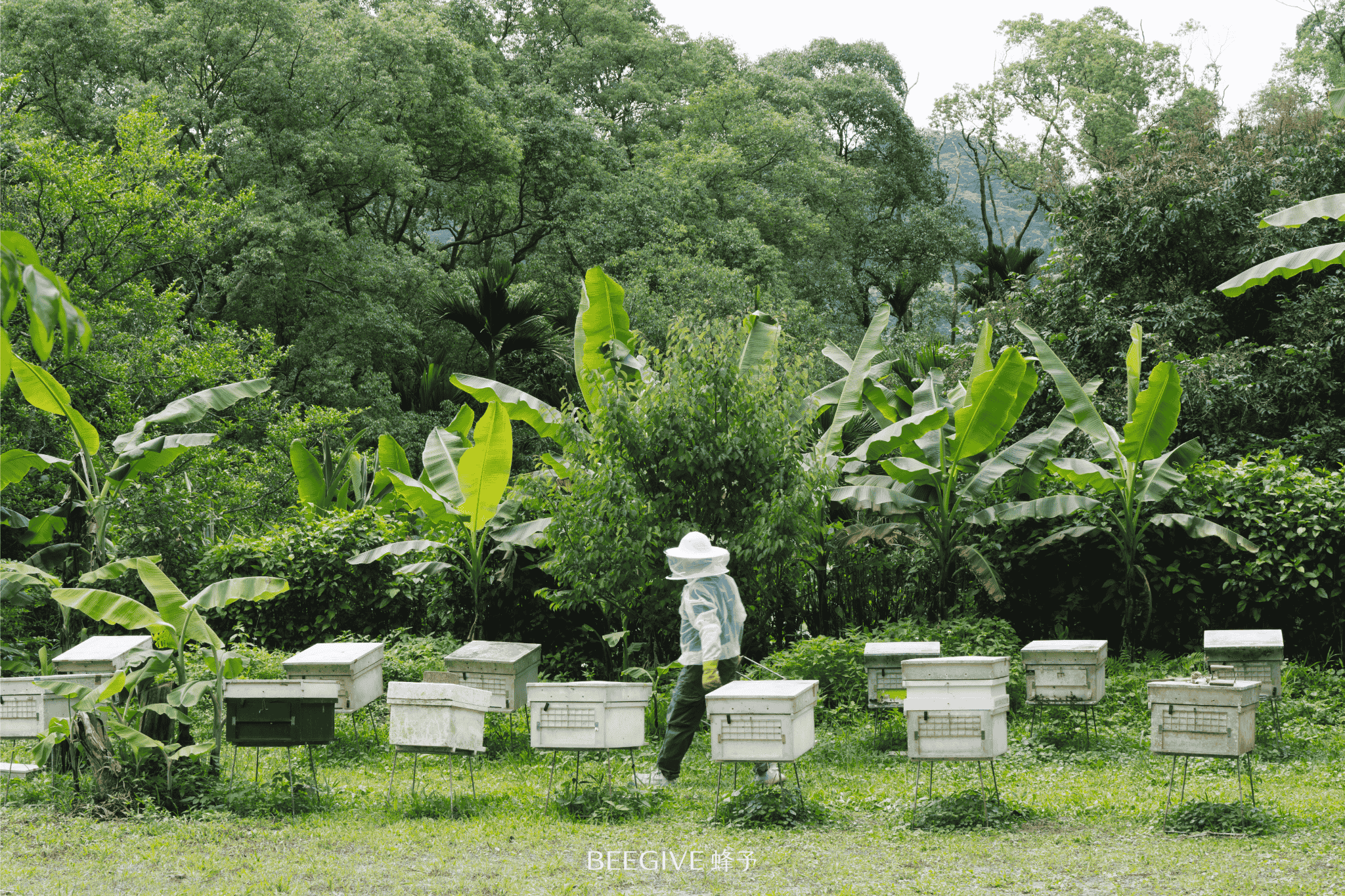 BEEGIVE 蜜蜂誌｜順應自然，品味與蜜蜂和諧共存的甜