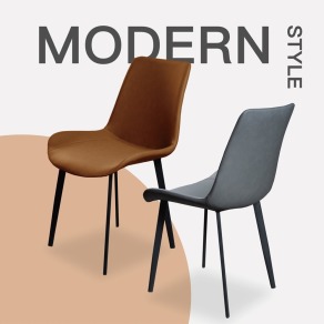 Modern 雙色餐椅